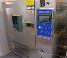 多功能恒温染牙机PT-2600